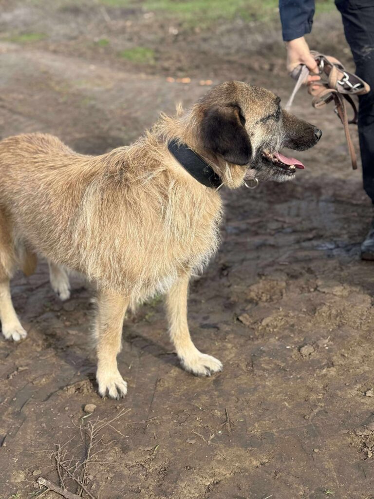 Received 1370413978042348