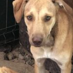 Received 1371440381356442