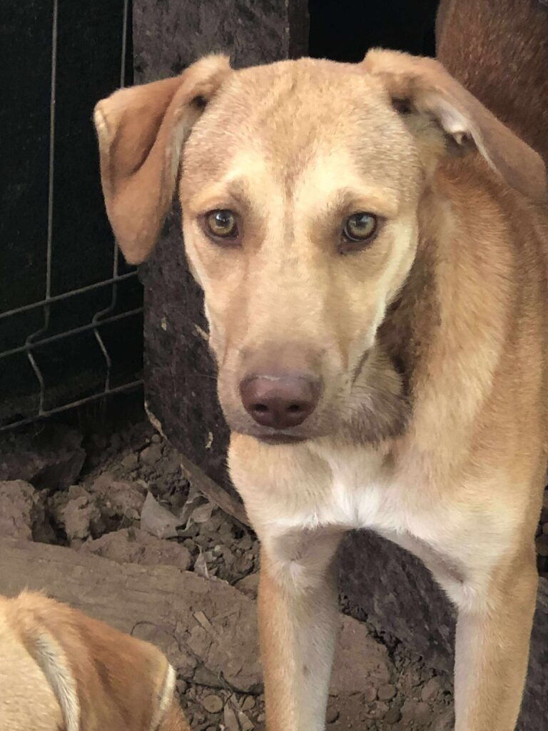 Received 1371440381356442