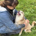 Received 1380820373620719