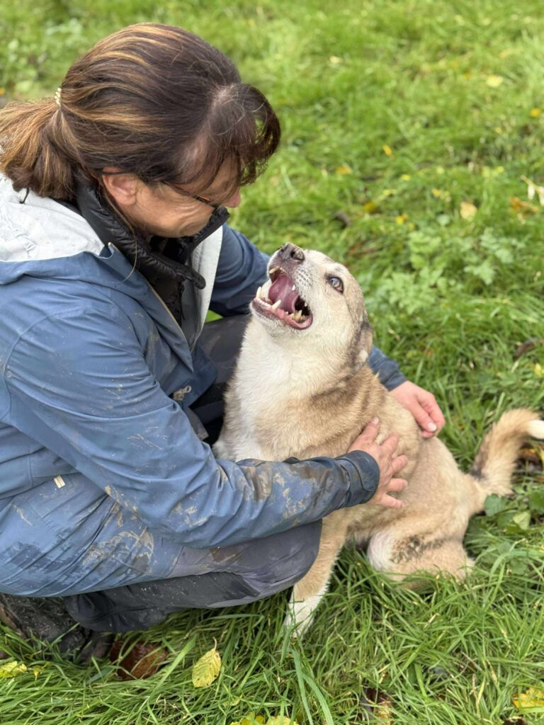 Received 1380820373620719