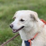 Received 1389142959372982