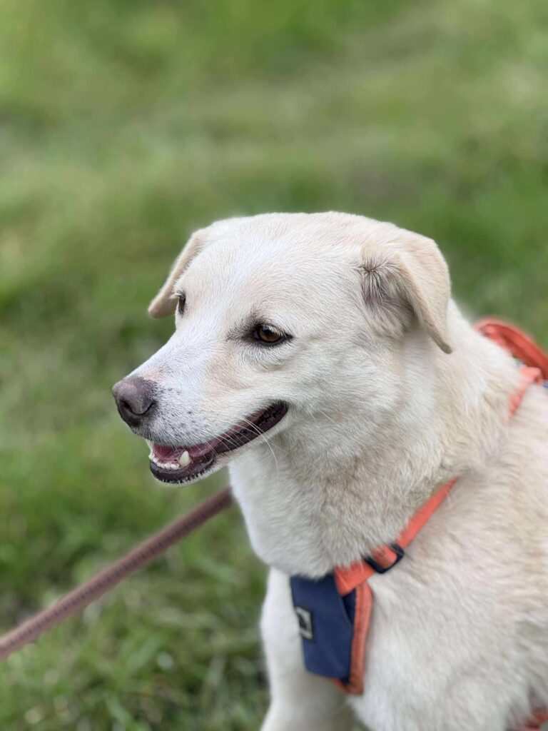 Received 1389142959372982