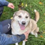 Received 1389219569299904