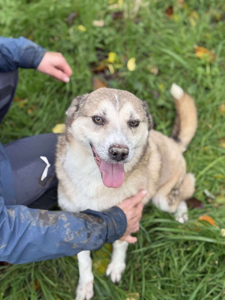 Received 1389219569299904