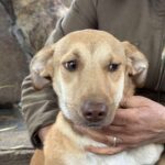 Received 1429379298138018