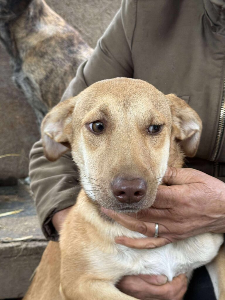 Received 1429379298138018