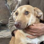 Received 1450044349419849