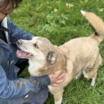 Received 1512227136672707