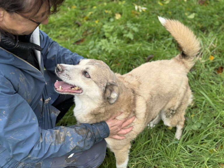 Received 1512227136672707