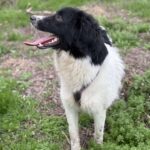 Received 1538878057758523