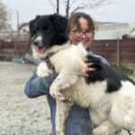 Received 1539166613886731