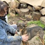 Received 1545116223287644