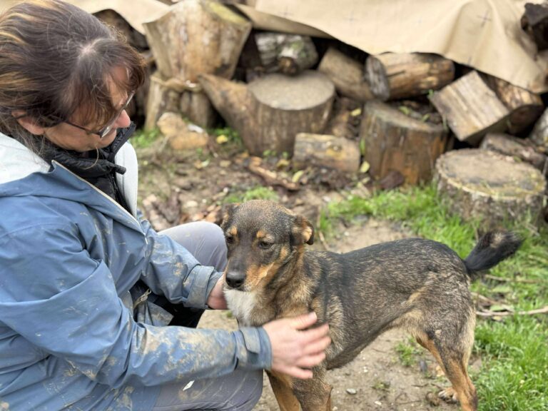 Received 1545116223287644