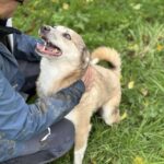 Received 1573818567122878