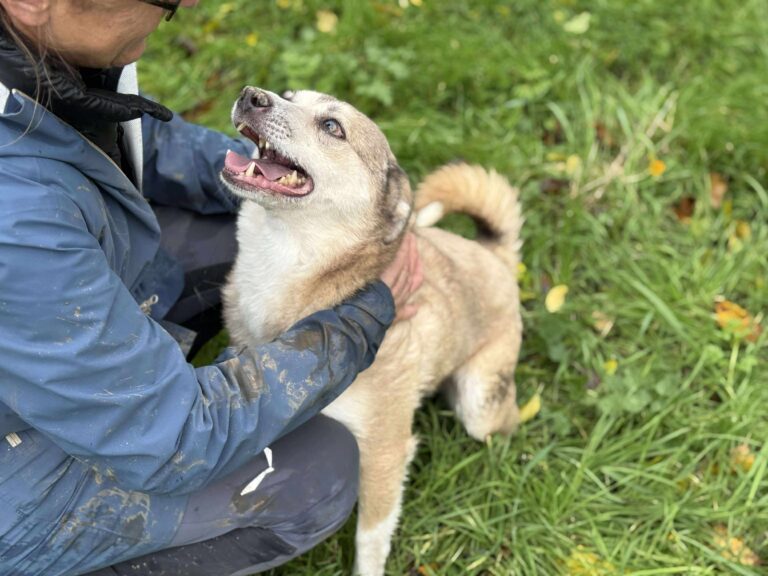 Received 1573818567122878