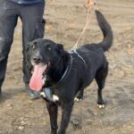 Received 1588187269260742