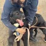 Received 1597123868389401