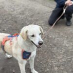 Received 1605995223617067