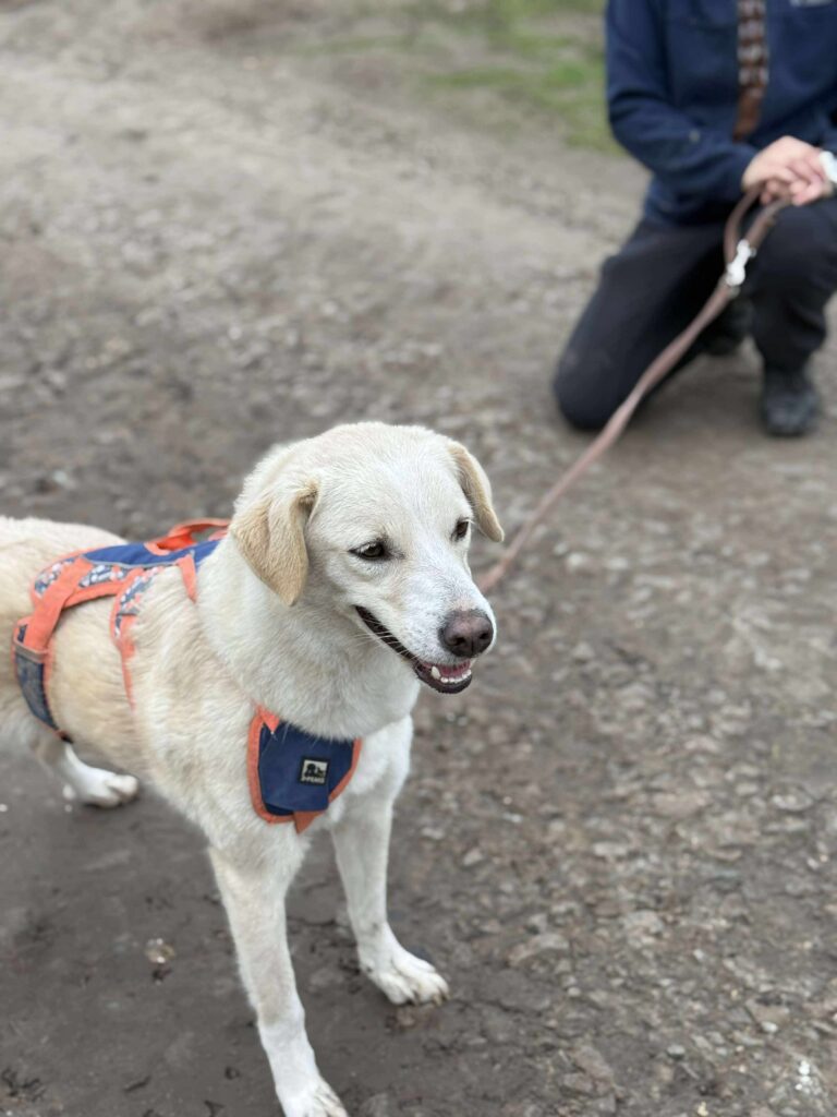 Received 1605995223617067