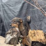 Received 1640237457288690