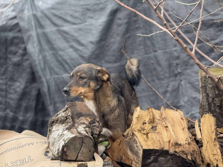 Received 1640237457288690