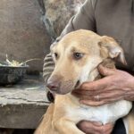 Received 1701988677120541