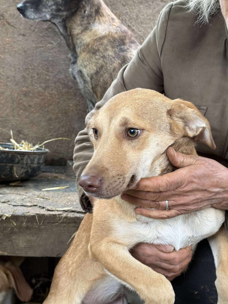 Received 1701988677120541