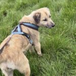 Received 1724283184931925