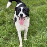 Received 1776654449716880