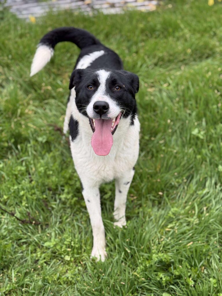 Received 1776654449716880