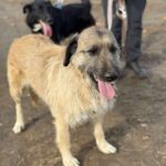 Received 1781671725868486