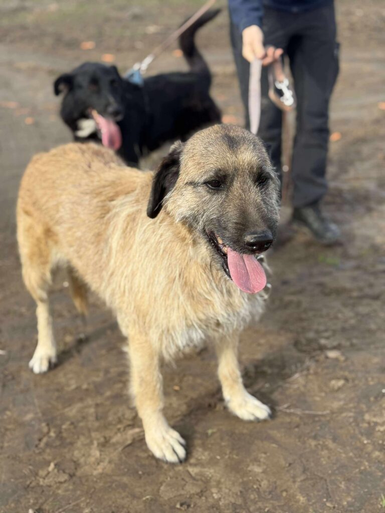 Received 1781671725868486