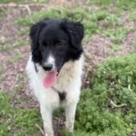 Received 1832639097374815