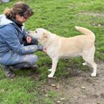 Received 1871978650366999