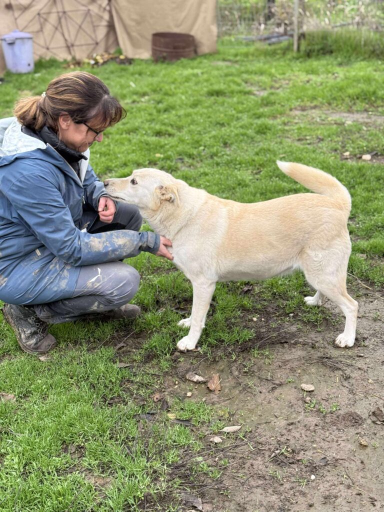 Received 1871978650366999