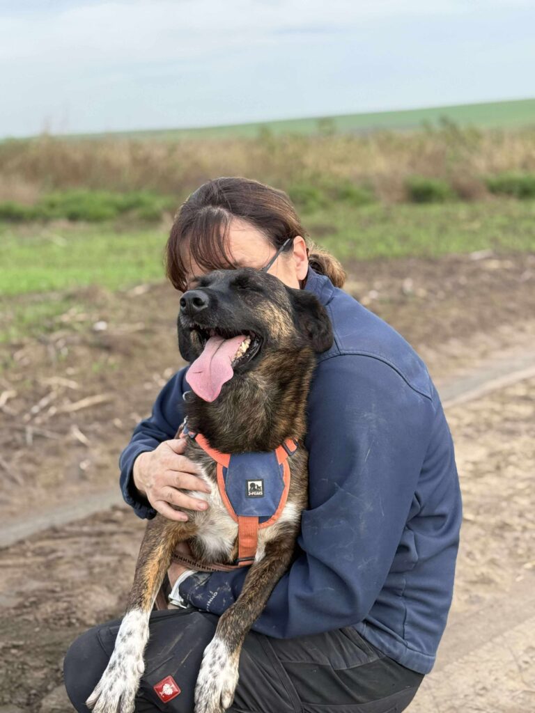 Received 1887278131928477