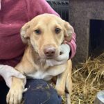 Received 1897119577529129