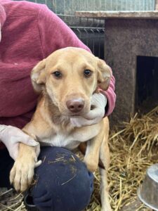 Received 1897119577529129