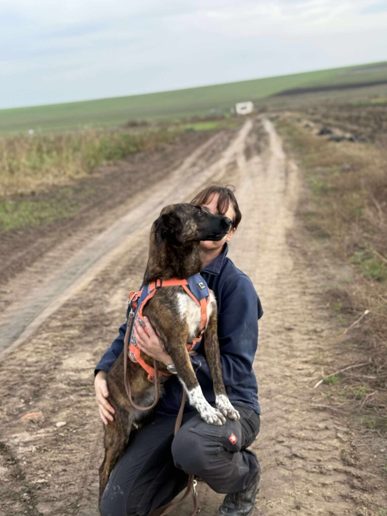 Received 1910752756537575