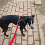 Received 1934623004154097