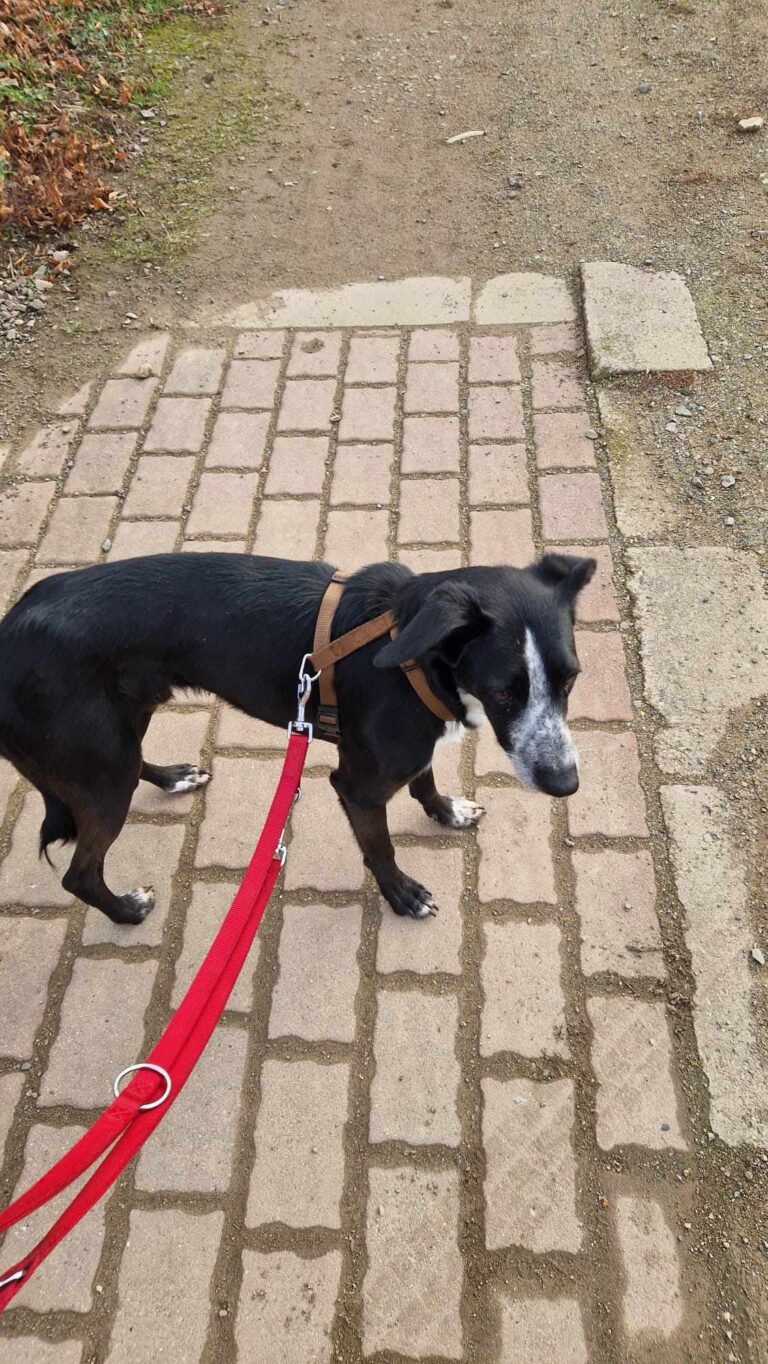 Received 1934623004154097