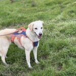 Received 1968834953701117