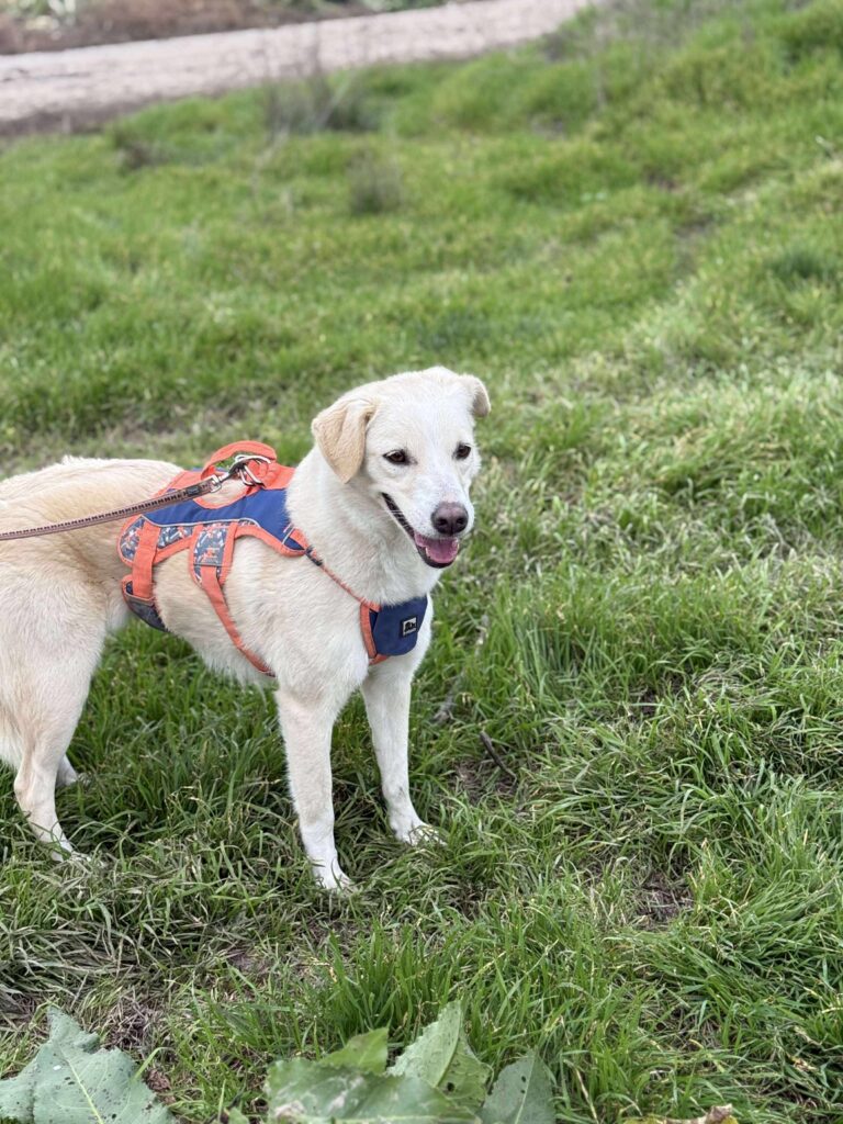 Received 1968834953701117