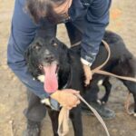 Received 1997928010751115