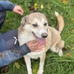 Received 2012289792879017