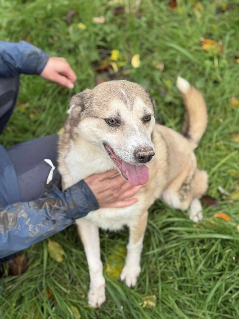 Received 2012289792879017