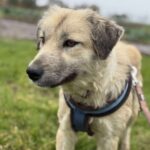 Received 2040097980143062