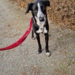 Received 2078219119382684