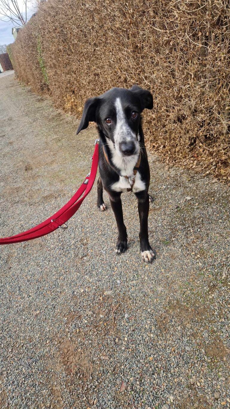 Received 2078219119382684